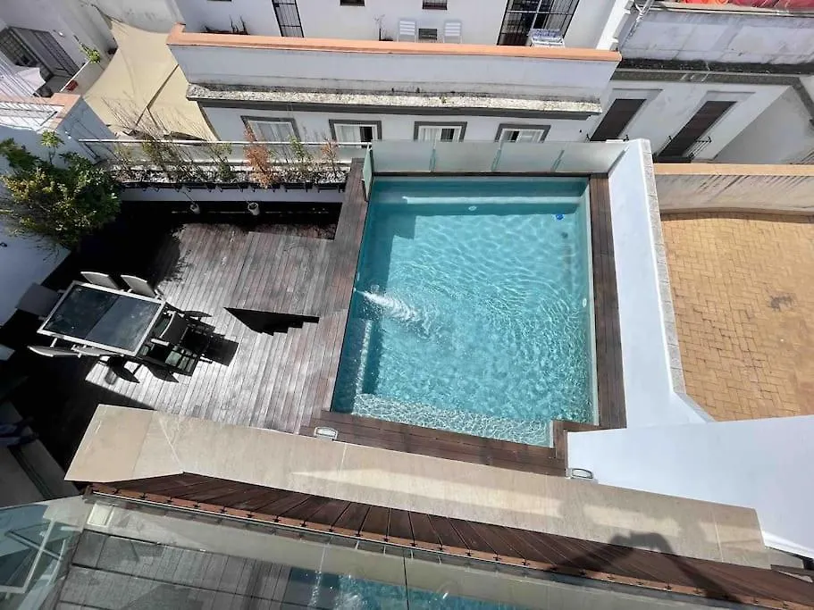 Holiday home Fdez Amazing House By Cathedral And Giralda With Private Pool Villa Seville Spain
